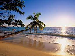 We did not find results for: 3d Beach Wallpapers Wallpaper Cave