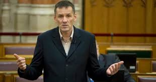 He was the party's vice president, faction leader, president of the enterprise development committee. Volner Janos Milliardos Sporolas A Kamupartok Kiiktatasa Demokrata