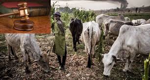 Court Dismisses Miyetti Allah S Suit Seeking To Restrain Open Grazing Law Court Abuja Online Branding