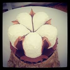 Cotton Bowl Cake Bowl Cake Cotton Bowl Cake Decorating