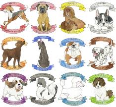 Zodiac Dogs Zodiac Signs Dog Zodiac Zodiac Sagittarius