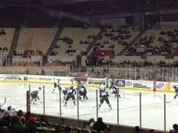 photos at cow palace