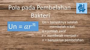 10 Suatu Bakteri Membelah Diri Menjadi Dua Setiap10 Menit Mula Mula Terdapat 30 Bakteri Brainly Co Id
