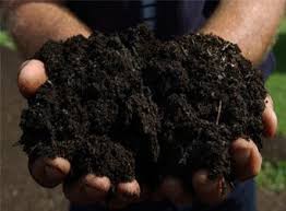 Maybe you would like to learn more about one of these? How To Make Great Dirt St Anthony Village Mn