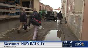 Is a locally owned and operated business based in the greater if any similar problem ever arise ultrasafe will be number #1 on my list. About Ultra Safe Pest Management Local Pest Control Wildlife Experts