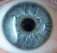 Three Main Iris Colors Constitutions In Iridology Aesthetic Eyes Eye Pictures Eye Art