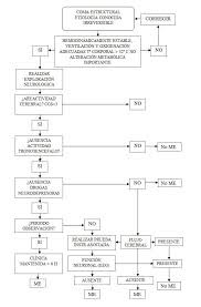 La muerte encefálica (me) es una condición determinada por el cese completo e irreversible de las funciones de los hemisferios cerebrales y del tronco encefálico. Arbol De Juego De Diagnostico De Muerte Encefalica Download Scientific Diagram