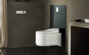 Plaques de déclenchement wc (107). Toilettes Wc Suspendu Broyeur Wc Abattant Wc Espace Aubade
