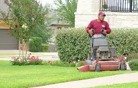 This is debris blown into a persons yard by a much bigger company in austin called abc pest & lawn. Lawn Services Lawn Mowing Austin Tx Abc Home Commercial Services