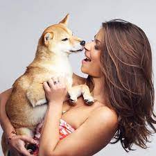 Infos sur les races de chiens, guides et conseils, vidéos explicatives, petites annonces, annuaire des pros. Denitsa Ikonomova Auf Twitter Amour Inconditionnel Internationalpuppyday Lesanimauxcestlavie Chien Shibainu Mapoupee Gimsy Merci Encore A Mon Ami L Incroyable Ludovicbaronartiste Photographe Unvraiartiste Ludovicbaron