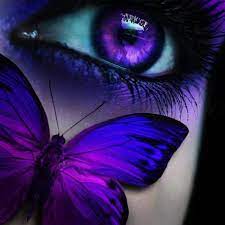 Betterfly evolves from enerfly when fused with enefly. Betterfly Style Community Facebook
