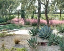 Maybe you would like to learn more about one of these? Pink Grasses 10 Ideas For Muhlenbergia In A Landscape Gardenista