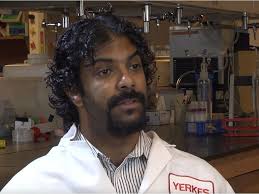 Can we inherit fear? Welcome to the mind-bending science of epigenetics