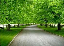 Check out more than 30 photos with amazing ideas to renew the space and leave it with a lot of highlight! 110 Farm Entrance Ideas Farm Entrance Entrance Driveway Entrance