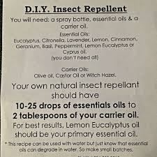 homemade mosquito insect repellent for