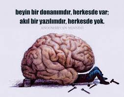 1 Hos Geldiniz Linkedin Beyin Kapsul Gercekler