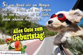 Geburtstagswunsche Fur Hunde Geburtstagswunsche Hund Geburtstag Wunsche Spruche Zum Geburtstag
