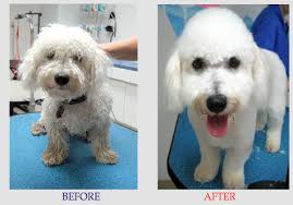 THE BEST 10 LOCAL FISH STORES in BRYAN, TX