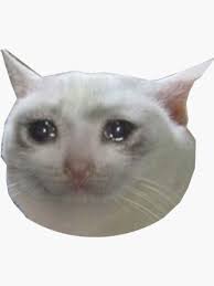 Pegatina Gato Llorando Jpg De So Basically I M Baby En 2021 Gatos Meme Gato Animales Gatitos llorando con música de fondo. pegatina gato llorando jpg de so