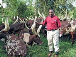Cyril ramaphosa discusses how he became involved in game breeding, an enterprise with a bright future. Ramaphosa Scores Big At Auction After Farmer Boycott Fizzles 2oceansvibe News South African And International News