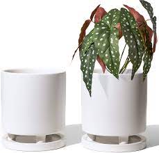 Maybe you would like to learn more about one of these? Amazon Com Le Tauci 4 7 Inch Plant Pots With Drainage Holes Saucers Ceramic Planters For Indoor Plants With Tray Decorative House Planter Set Of 2 White Garden Outdoor