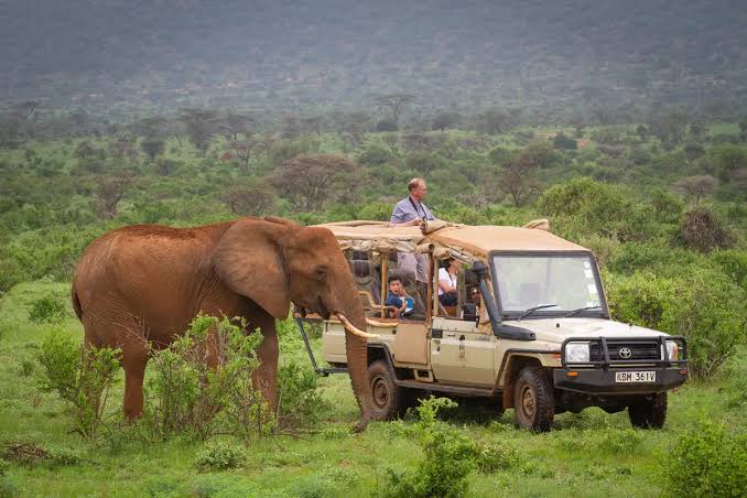7 Days Laikipia, Samburu and Mara Escape