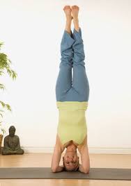 Shirshasana Yoga Headstand Poses Yoga Benefits Yoga Postures