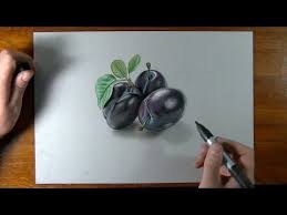 Plum drawing and coloring for kids. How I Draw Fruit Drawing Realistic Plums Youtube Realistic Drawings Creative Drawing Drawings