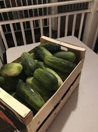 Pin By Guillaume Baltus On Cultiver Legumes Guadeloupe Vegetables Watermelon Cucumber