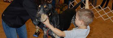 All orders are custom made and most ship worldwide within 24 hours. About Ukc Coonhounds United Kennel Club Ukc