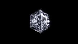 Exo Love Shot Teaser 1 Logo