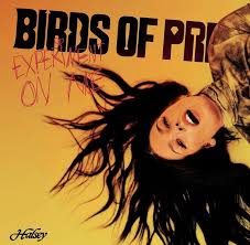 Birds Of Prey The Album Album Songs Free Download Pin By Rose On Halsey In 2020 Halsey Halsey Songs Birds Of Prey