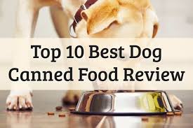 In case if you happen to know about your dog and his food preferences really well and want to know what some of the best dog foods manufacturers also use labeling technique to attract potential customers. 10 Best Canned Dog Food Wet Dog Food 2021 Review Upd