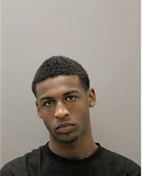 ᐅ Illinois Criminal Records 2009-2025