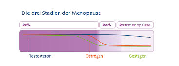 Wann sie eintritt, hängt von verschiedenen faktoren ab. Wechseljahre