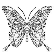 Jul 29, 2020 · are you looking for butterfly pictures to color? 37 Butterfly Coloring Pages Ideas Butterfly Coloring Page Coloring Pages Butterfly Drawing