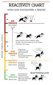 understanding dog to dog aggression