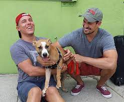 The humane society of westchester provides animal rescue services to 20 communities in westchester county giving safe haven to lost. Adopt A Dog Liberty Humane Society