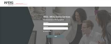 Wos is one the strongest citation indices in the world and it includes 24,700 journals and 55 million articles since 1898. Wos Weig Online Services Weig Karton