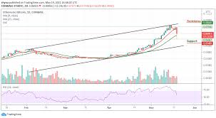 Technicals i've just read these eth price predictions for 2021, and they're very, very bullish. Grhgkkhniawtym