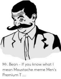You know what i mean meme. Mr Bean If You Know What I Mean Moustache Meme Men S Premium T Meme On Me Me