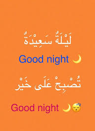Learning Arabic Msa Fabienne Taal Arabisch
