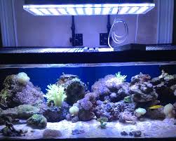 48 Inches Reef Tank In Florida Orphek Reef Aquarium Led Lighting