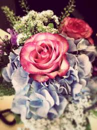 Maybe you would like to learn more about one of these? Rosa Mazzo Fiori Regalo Festa Della Mamma Compleanno Pikist
