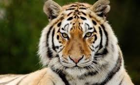 Realizam expeditii la preturi mici in cipru. Romania Nu E Tigrul Europei Suntem Abia A 16 A Economie A Ue Èi DepÄÈim ÈÄri Ca Malta Luxemburg Cipru Sau Statele Baltice Stiri Pe Surse Cele Mai Noi Stiri