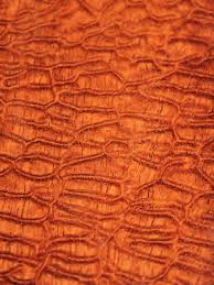 Image result for Afzelia