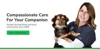 1236 e main st, salem (va), 24153, united states. Peoria Illinois Veterinarians Big Hollow Companion Animal Hospital