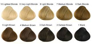 Check spelling or type a new query. How To Do A Shadow Root At Home Hair Tutorial For Blondes