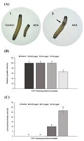 This treatment is performed once every four months to keep your potential. Insects Free Full Text A Novel Insecticidal Molecule Extracted From Alpinia Galanga With Potential To Control The Pest Insect Spodoptera Frugiperda Html