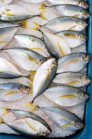 Fin City Seafood Market Seafood Shop Seafood